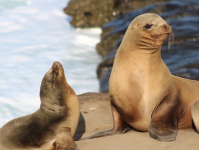Galapagos Island tours 6 days
