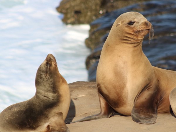Galapagos Island tours 6 days