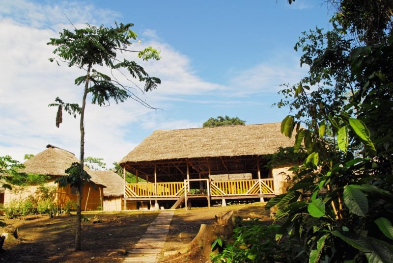 Dolphin Lodge Jungle Tours