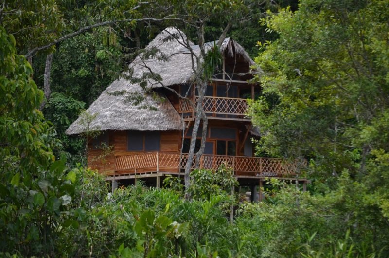 sani lodge GUACAMAYO LODGE amazon tours