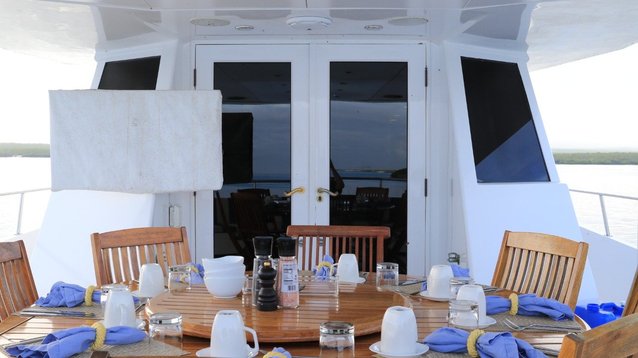 Vision yacht galapagos social areas Vision yacht galapagos social areas