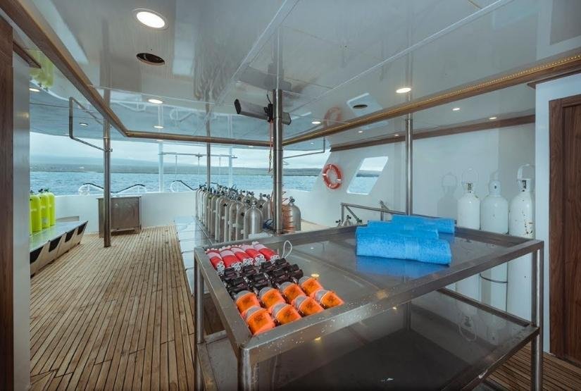 Galapagos diving cruise Tiburon Explorer Galapagos diving cruise Tiburon Explorer