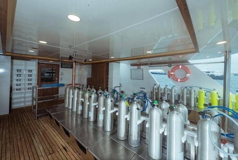 Galapagos diving tours Tiburon Explorer Galapagos diving tours Tiburon Explorer