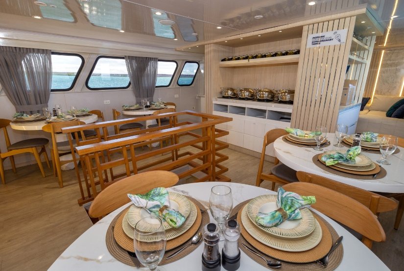 Dinning-Room-Galaxy-Diver Dinning-Room-Galaxy-Diver