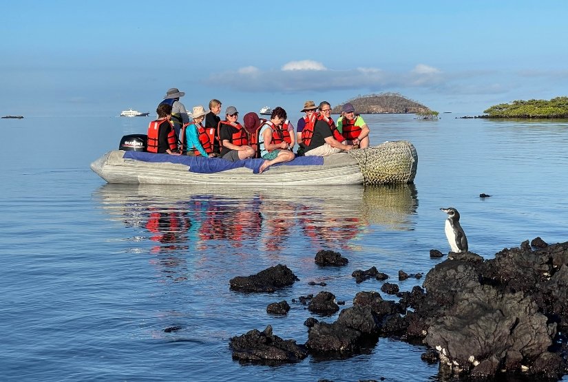 Galaxy-Diver-Activities Galaxy-Diver-Activities