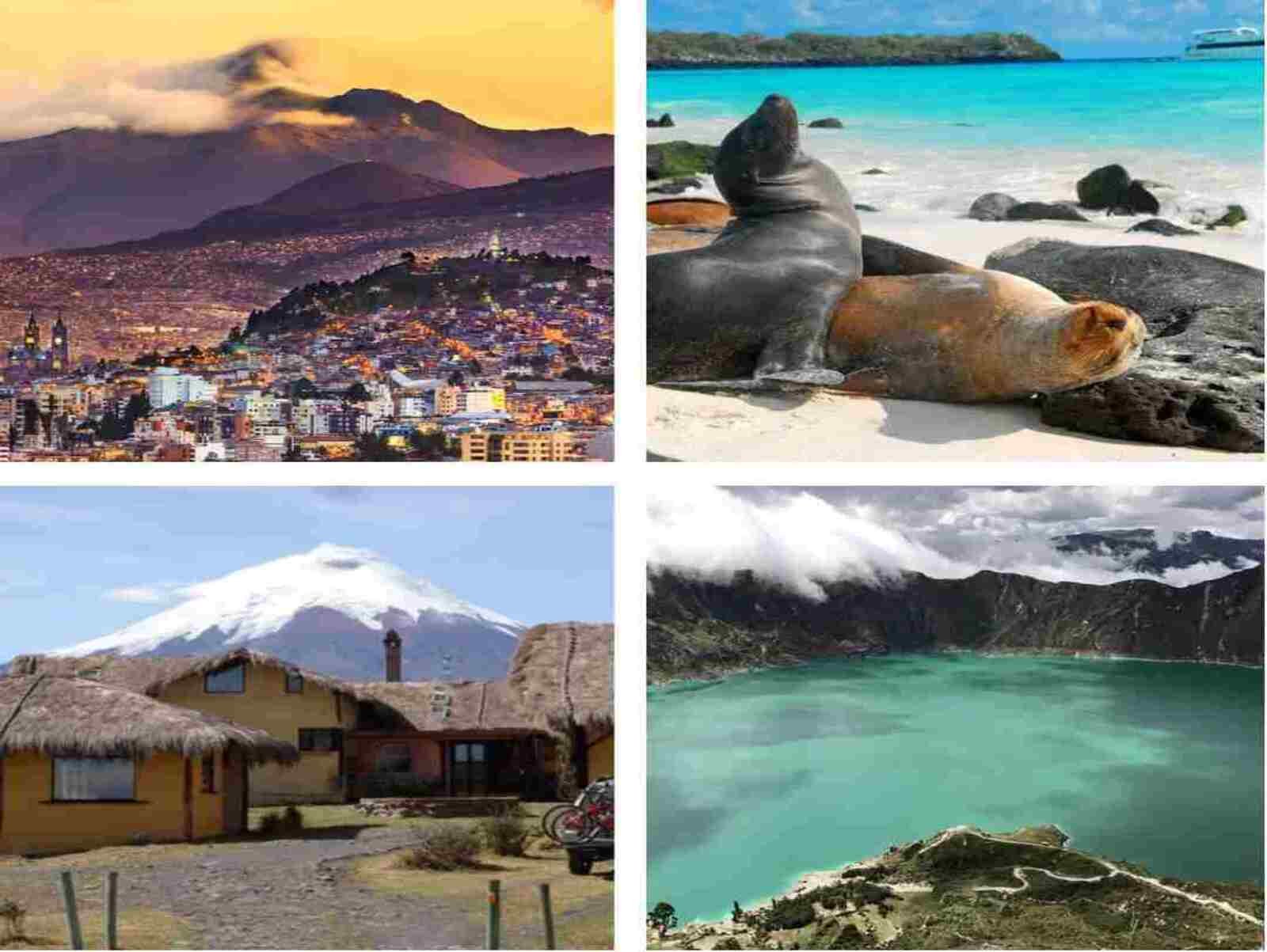 Ecuador Tour