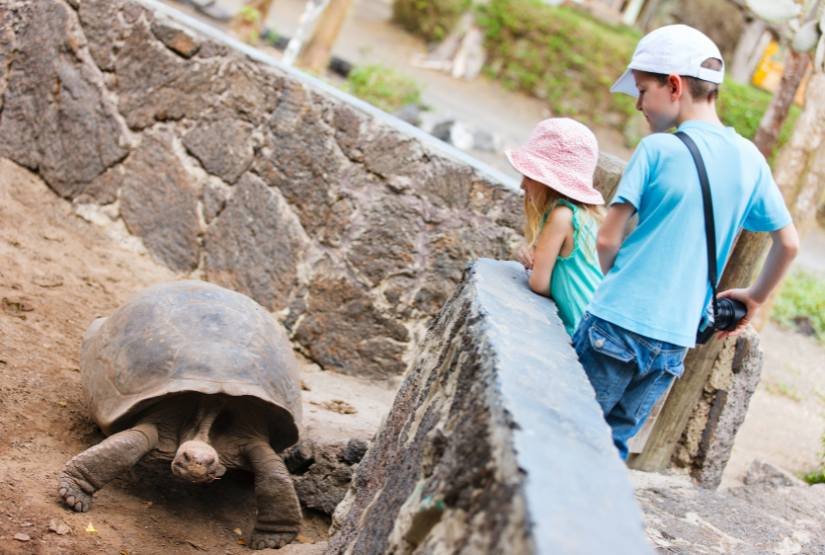 Turtle Breeding Center isabela