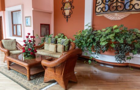 Hotel-Patio-Andaluz-living-room-2 Hotel Patio Andaluz living room 2