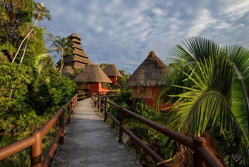 Napo Wildlife Center tower