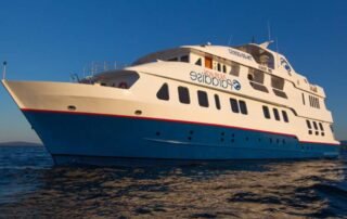 Natural Paradise Yacht last minute