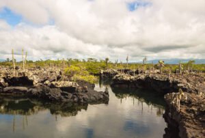 galapagos 5 days tour
