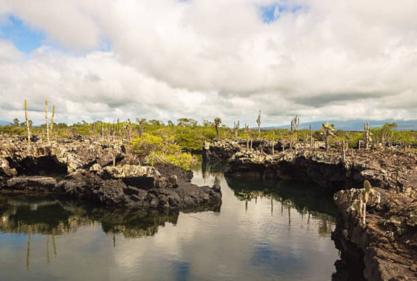 galapagos-5-days-tour galapagos 5 days tour