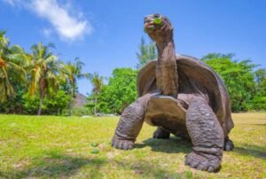 galapagos 7 days tour