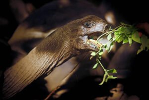 galapagos island 6 days tour