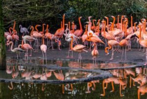 galapagos island 8 days itinerary