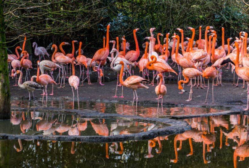 galapagos-island-8-days-itinerary galapagos island 8 days itinerary