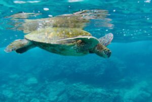 galapagos island best tour