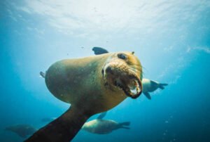 galapagos island hopping tour
