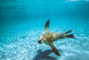 galapagos island hopping tours