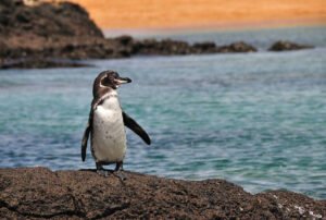 galapagos island land tour