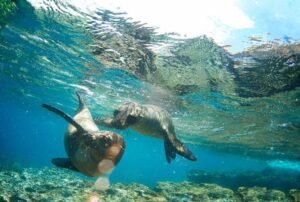 galapagos island land tour packages