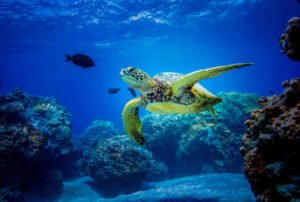 galapagos island tourist attractions