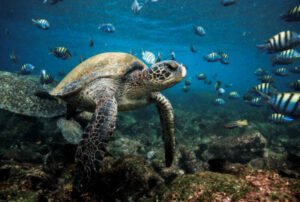 galapagos island tourist attractions
