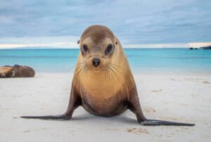 galapagos islands 7 days tour
