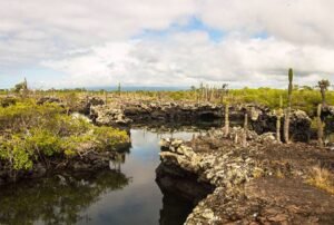 galapagos lands best tour