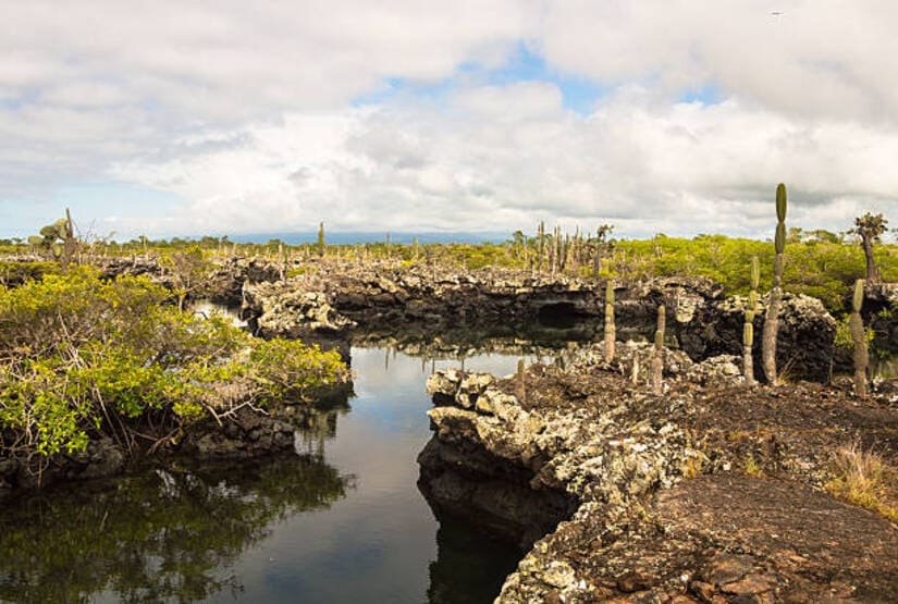 galapagos-islands-best-tour galapagos lands best tour