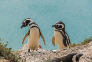 galapagos land based tour