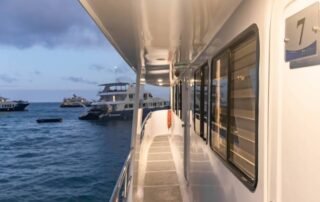 Estrella-de-Mar-Exterior-Yacht Estrella de Mar Exterior Yacht