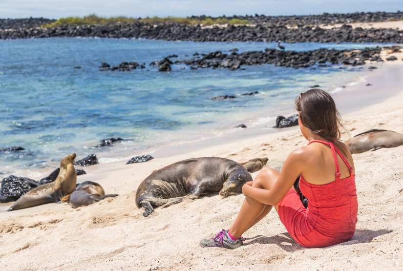 ecuador galapagos tour