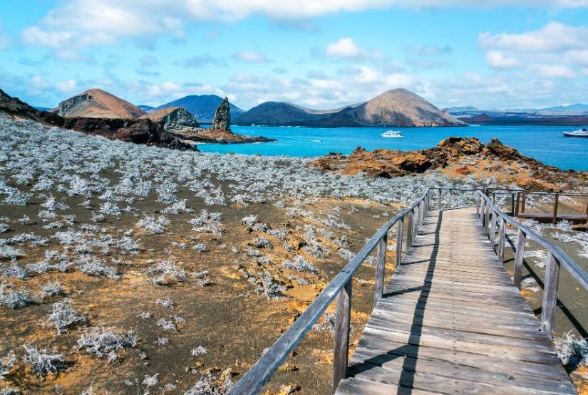 Bartolome Island Trip Package