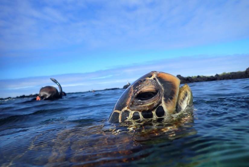 Experience Galapagos Trip Package