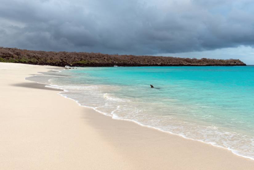 Galapagos Islands 9 days Trip Package