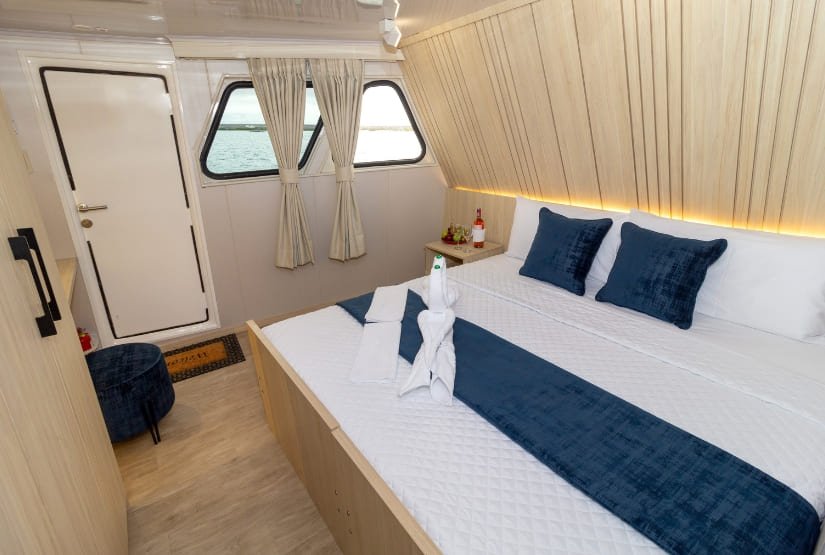 Upper Deck Cabin Galaxy Orion