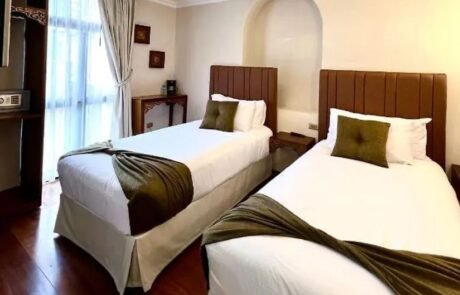 dakani-hotel-boutique-double-room dakani hotel boutique double room