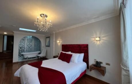 dakani-hotel-boutique-single (2) dakani hotel boutique single