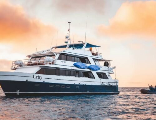 Letty Yacht