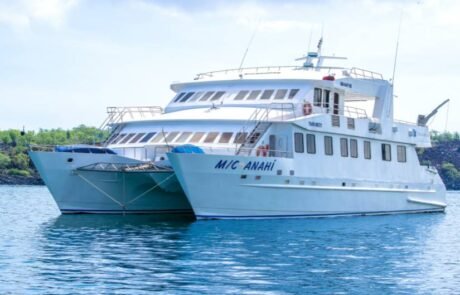 Anahi Catamaran