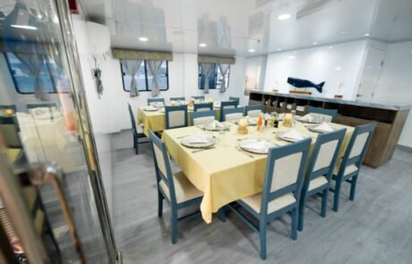 Anahi Catamaran dining room