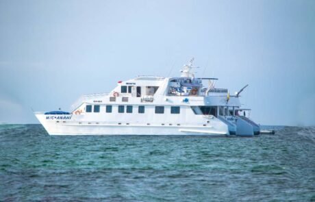 Anahi Catamaran exterior