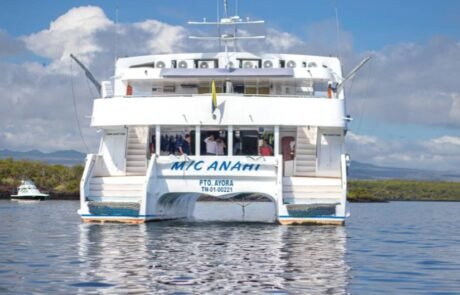Anahi Catamaran gps
