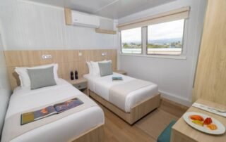 Galapagos Angel Yacht twin beds