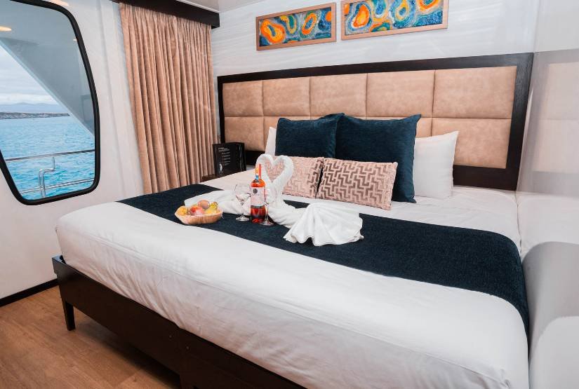 Alya Catamaran Matrimonial