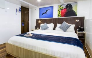 Natural Paradise Yacht matrimonial cabin