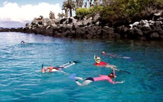 Ecogalaxy Yacht Snorkeling experience