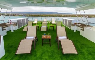Galaxy Yacht Sun Loungers (2)