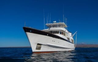 Beluga Yacht exterior